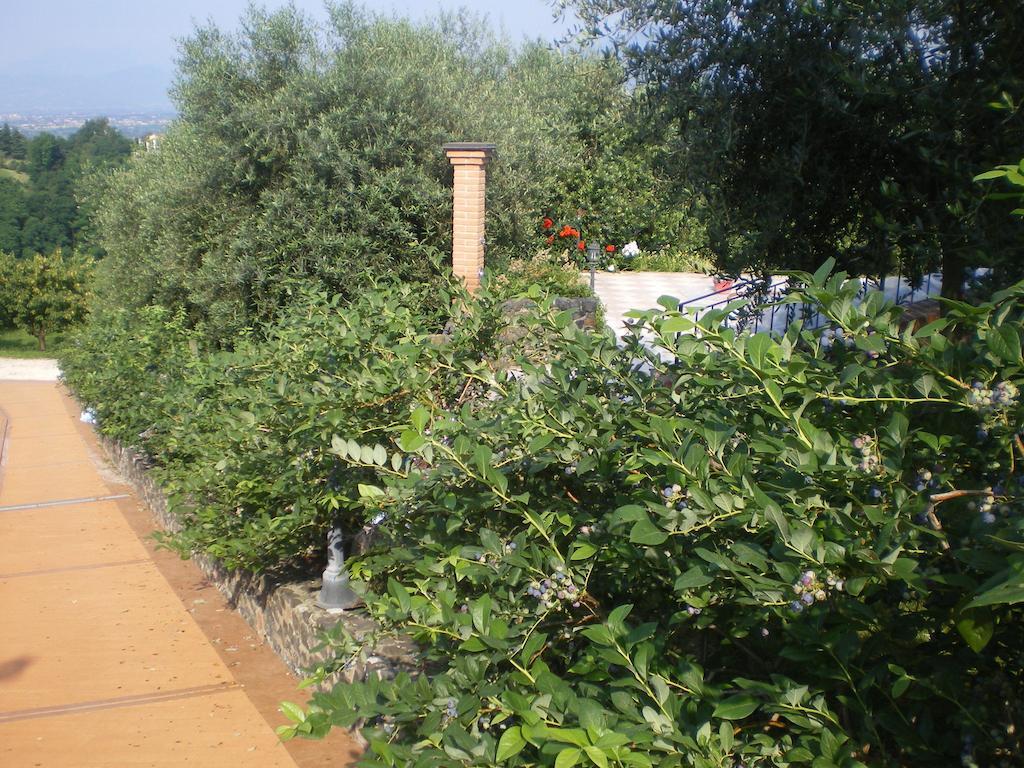 Tenuta Fortelongo Fara Vicentino Экстерьер фото