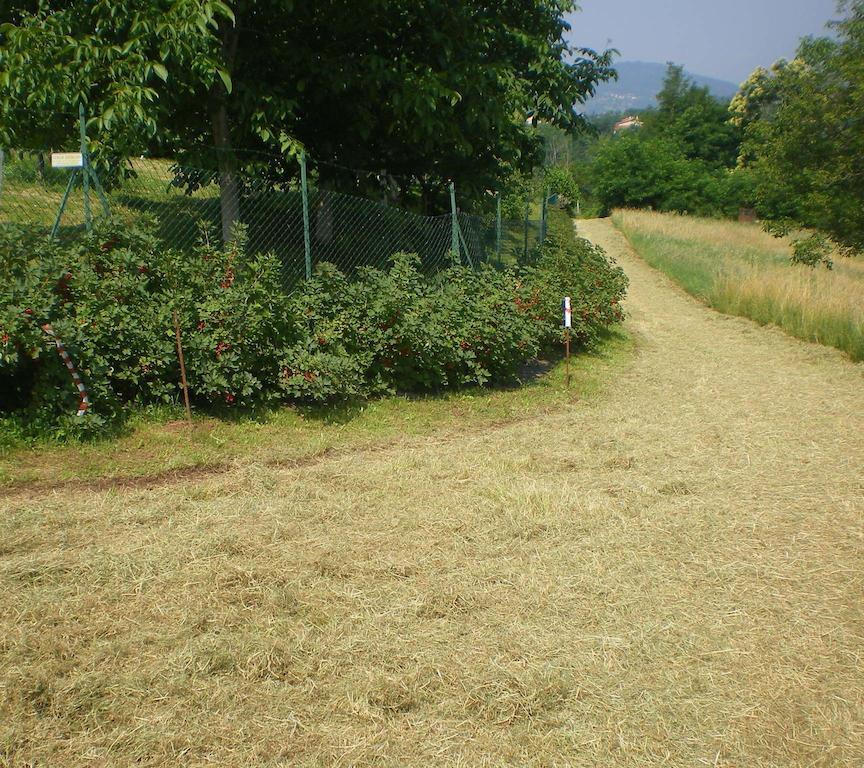 Tenuta Fortelongo Fara Vicentino Экстерьер фото