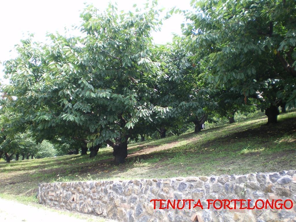 Tenuta Fortelongo Fara Vicentino Экстерьер фото
